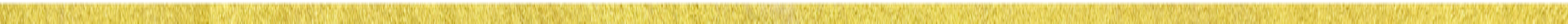 Border Line Bottom